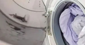 Çamaşır makinesinden öyle bir şey çıktı ki...