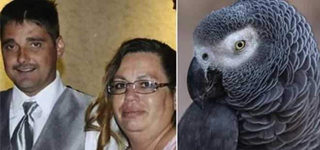 Papağan Bud cinayeti çözmeye başardı