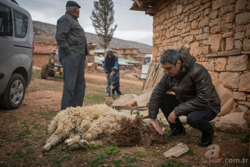 Kurtlar Vadisi KAOS 1. bölüm yayın tarihi belli oldu mu? 2023 Kurtlar Vadisi son durum ne? Hangi kanalda yayınlanacak? Oyuncu kadrosunda kimler olacak? 12