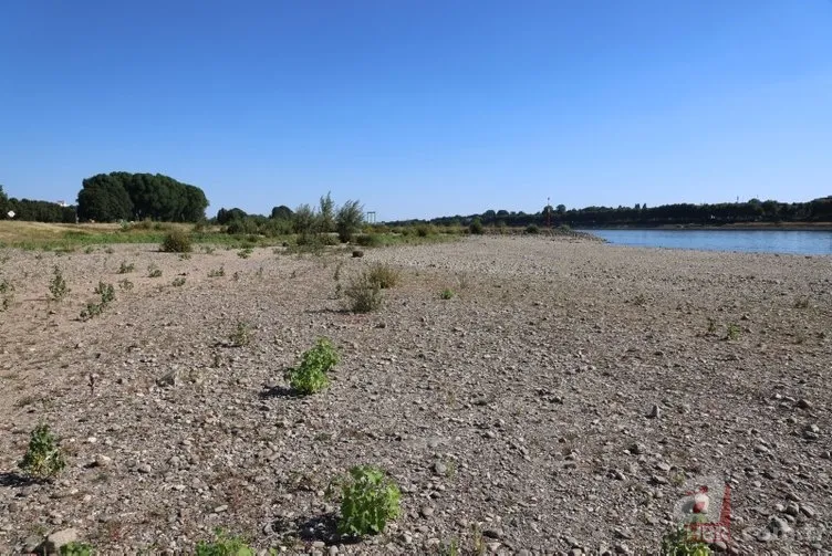 Avrupa'da 500 yılın kuraklığı! Dünya korkuyla izliyor 7