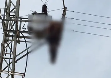 Elektrik direğine asılı halde bulundu