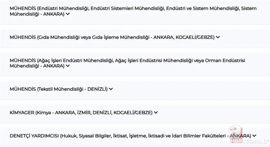 TSE 161 sözleşmeli personel alımı yapacak: Çeşitli pozisyonlarda kadrolar açıldı | Alım yapılan iller 4