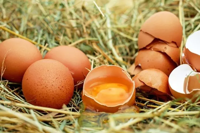 Yumurta alırken rengine bakmayın yanılırsınız! Üreticisinden uyarı…