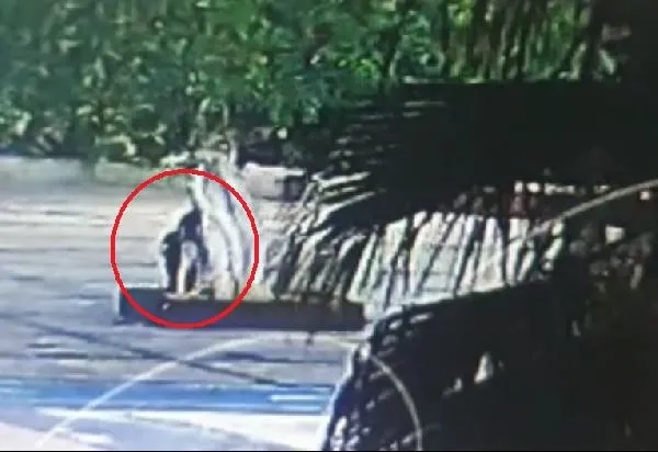 Mersin Özgecan Aslan Meydanı'ndaki ağacın kurutulması skandalında yeni gelişme! Savcılık ifadesi ortaya çıktı - 5