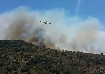 Bodrum'da makilik alanda yamgın