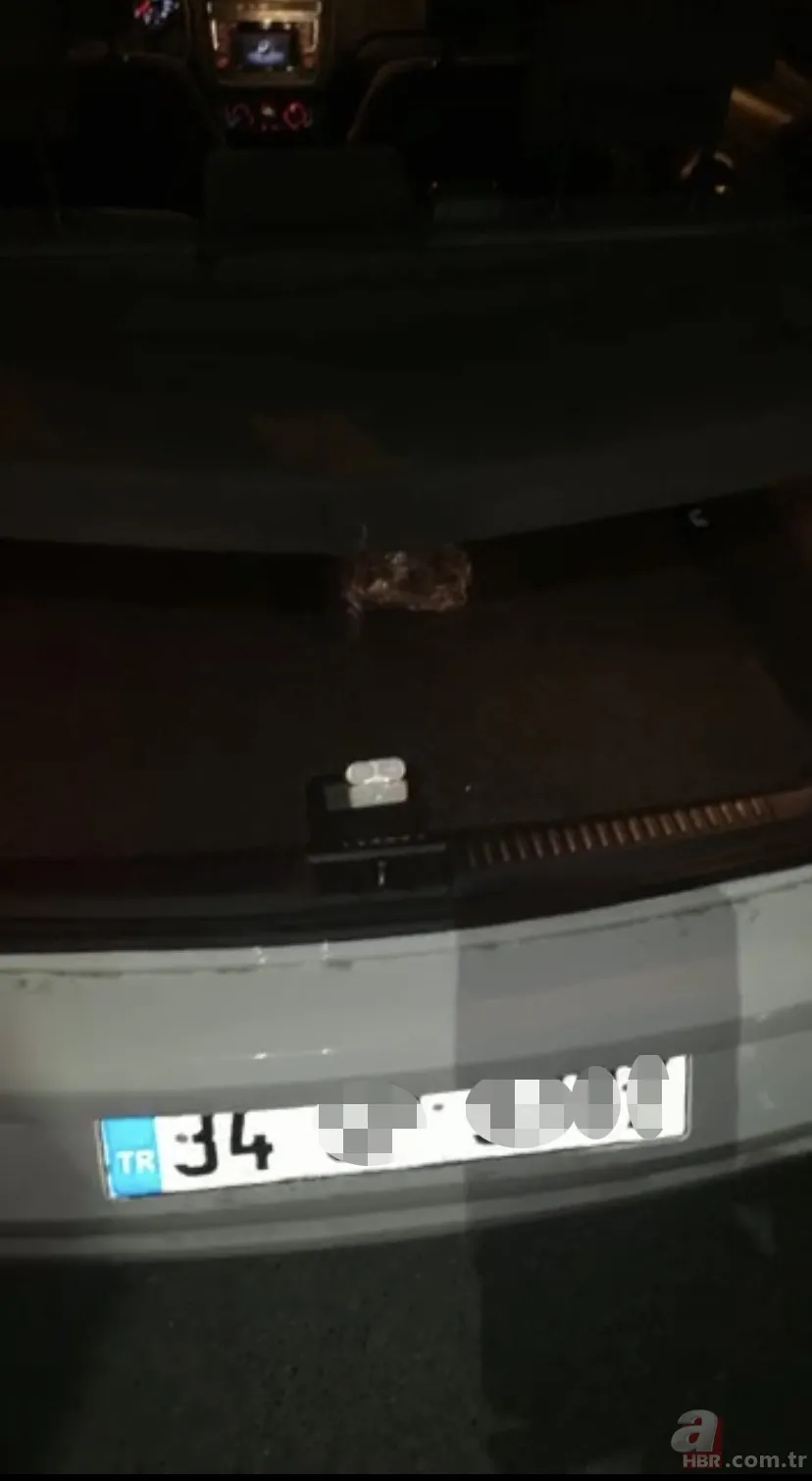 Beşiktaş’ta şaşkına çeviren uyuşturucu düzeneği: Plakalıktan kokain çıktı 8