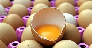 Araştırmayla kanıtlandı!