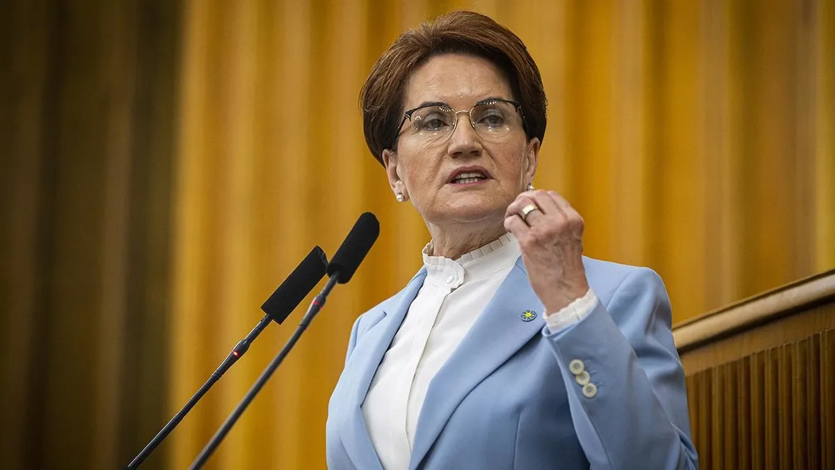 Eski İyi Parti lideri Meral Akşener'dan o iddialara yanıt: Hukuki yollara başvuracağım!
