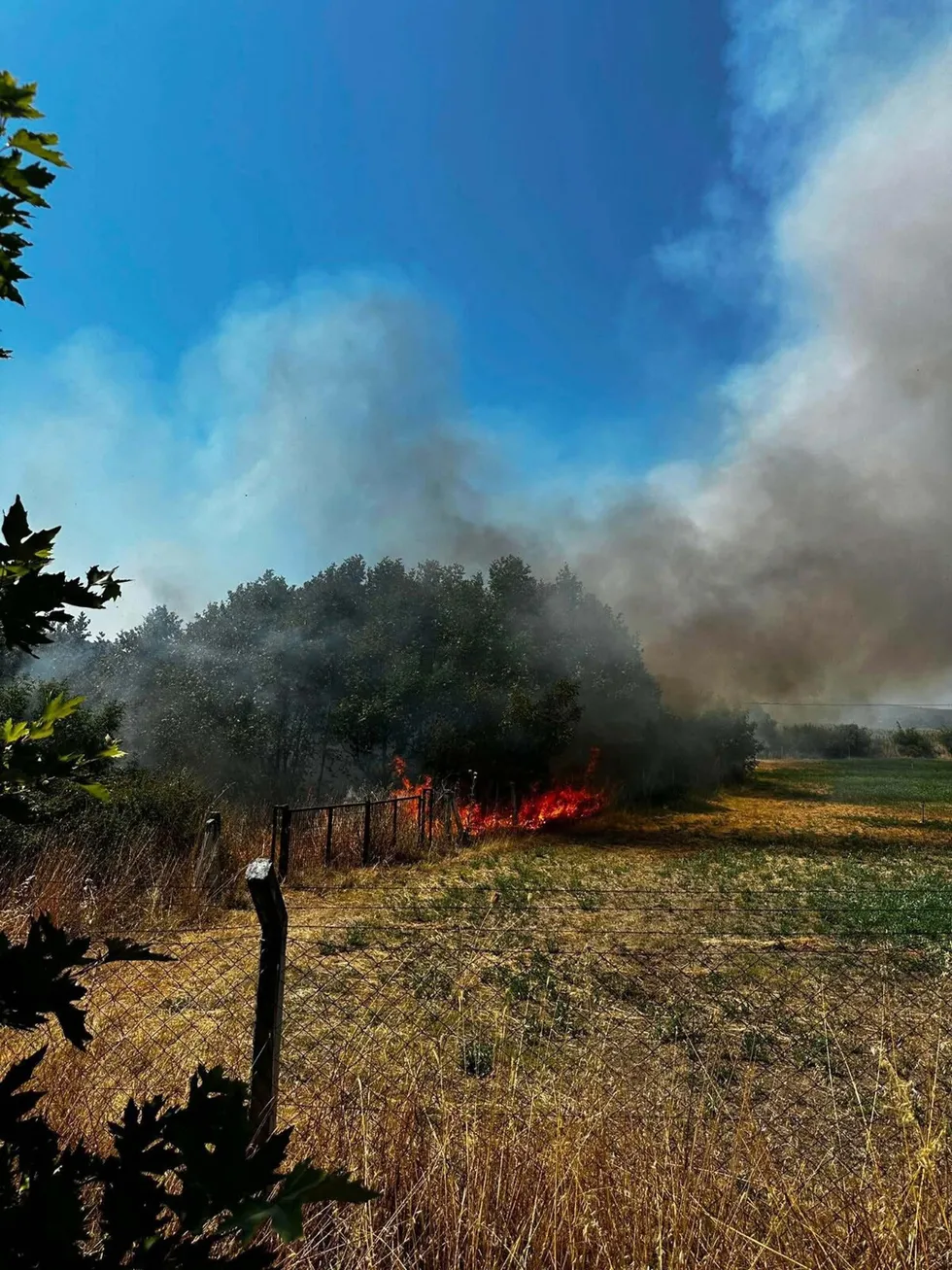 Çanakkale Ayvacık’ta otluk alan yangını söndürüldü - 2