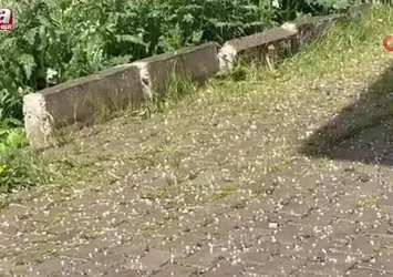 Ağrı Diyadin'de dolu yağışı