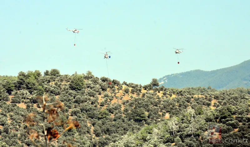 Muğla'dan art arda yangın haberleri! Köylüler evlerini terk ediyor 24