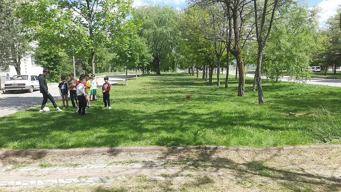 Başıboş köpekler Sivas'ta dehşet saçtı! Daha kaç can yanacak? - 2