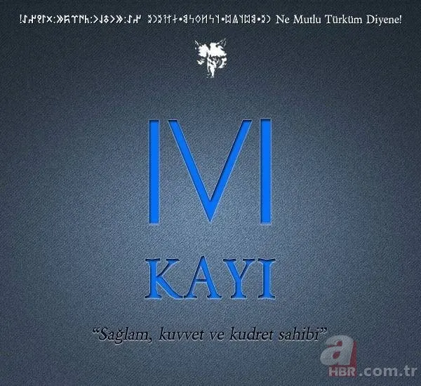 Türkiye'de hangi il hangi Türk boyundan geliyor? Şehirlerin soyağacı ortaya çıktı! 28