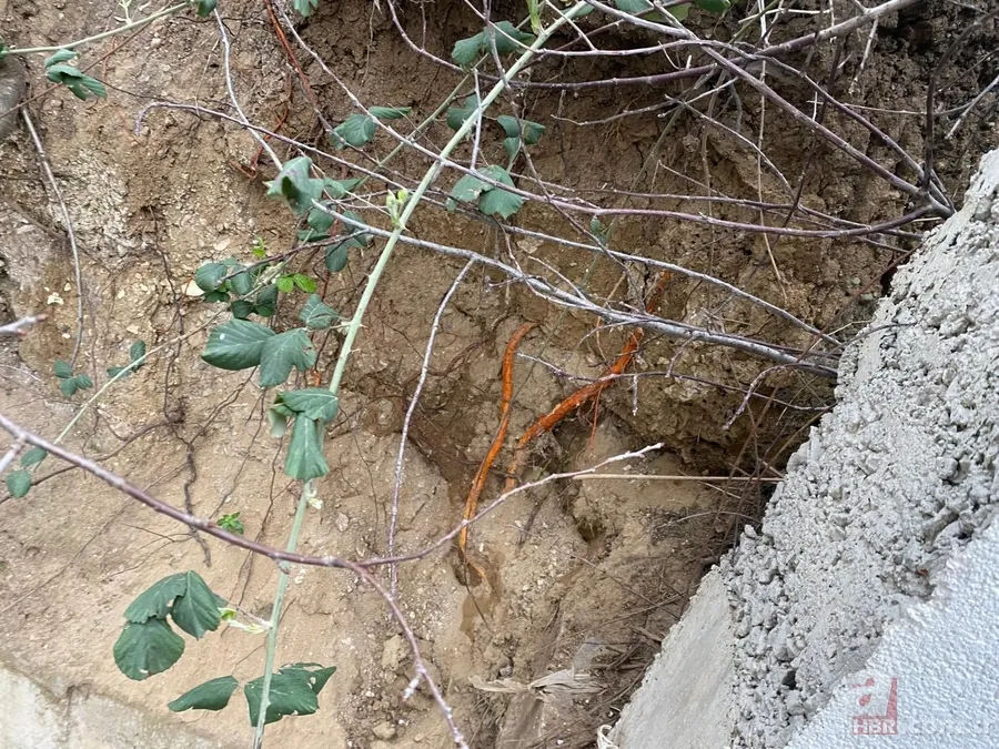 Site bahçesinden dehşet çıktı Tüyler ürperten manzara: Çocuklar korkudan dışarı çıkamıyor 1