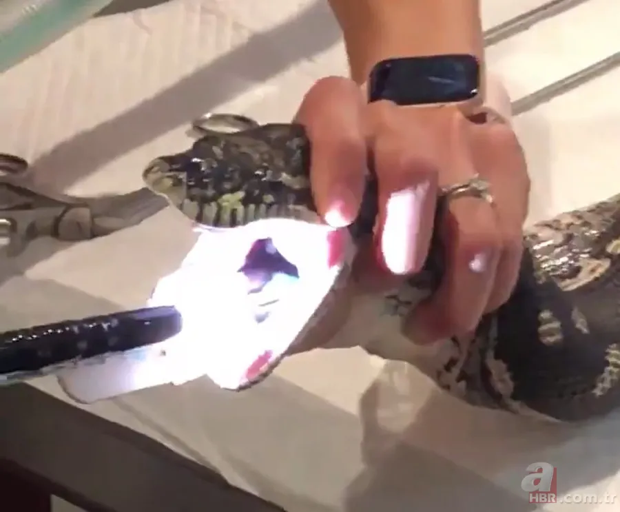 Bir yılan bunu neden yer? Pitonu ameliyat eden veterinerlerden sevinç çığlıkları 7