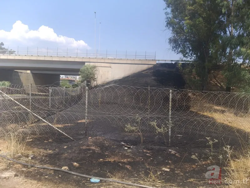 Aydın'da araç içinden atılan sigara yangına sebep oldu 4