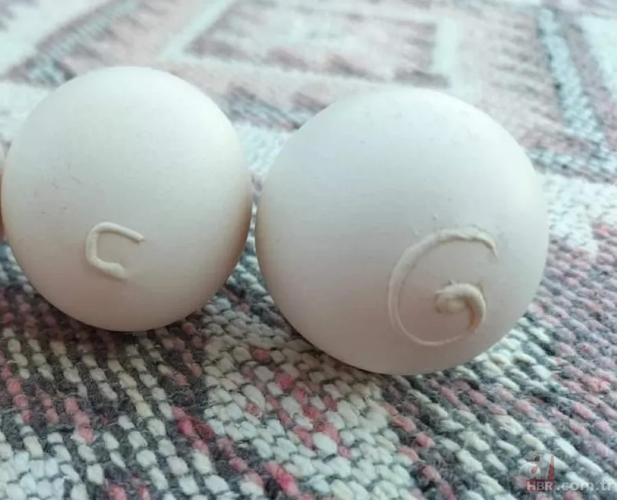 Tavuk kümesine girince gözlerine inanamadı 🥚 Günlük yumurtalarının üstünde adı ve soyadının baş harflerini gördü 🐔 4