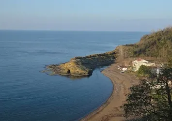 Perşembe'deki 'Timsah Adası'nı görenler şaşkın