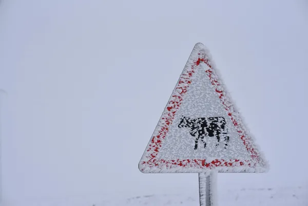 meteoroloji-hava-durum-raporunu-paylasti-istanbul-dahil-bircok-ile-kar-ve-saganak-uyarisi-dikkat-aksam-saatler-1671607185882.jpg Kara kış kapıda ❄️ Zemheri günleri geliyor | İstanbul'a kar ne zaman yağacak? ☃ Güneşe aldanmayın diyerek uyardı - 2