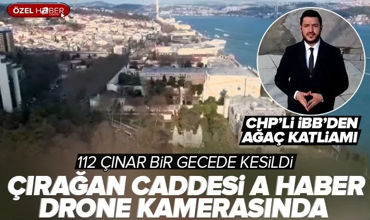 CHP’li İBB’nin ağaç katliamı sonrası Çırağan Caddesi! Silüeti bozulan yol A Haber drone kamerasında