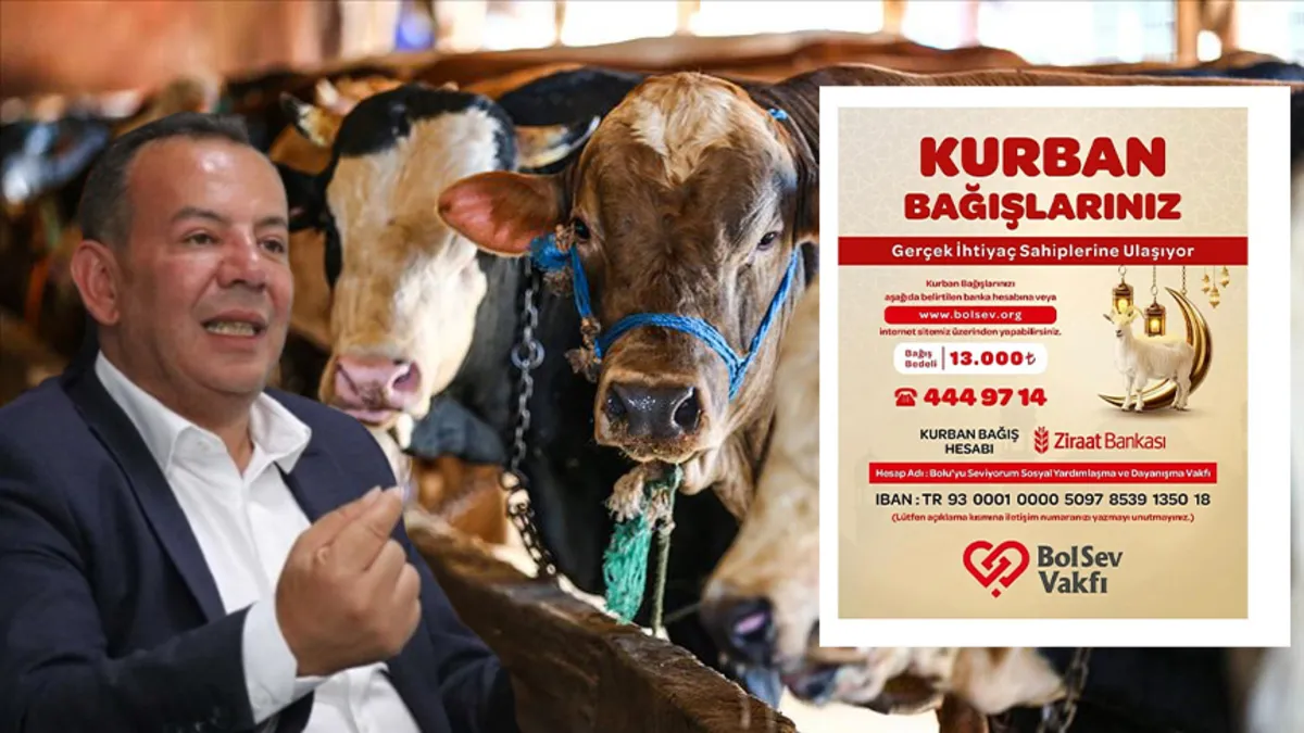 Bolu Belediyesi vatandaşın kurban paralarına çöktü | Tanju Özcan: Hatırlamıyorum