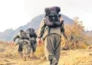 350 kişilik terör ağı deşifre edildi!