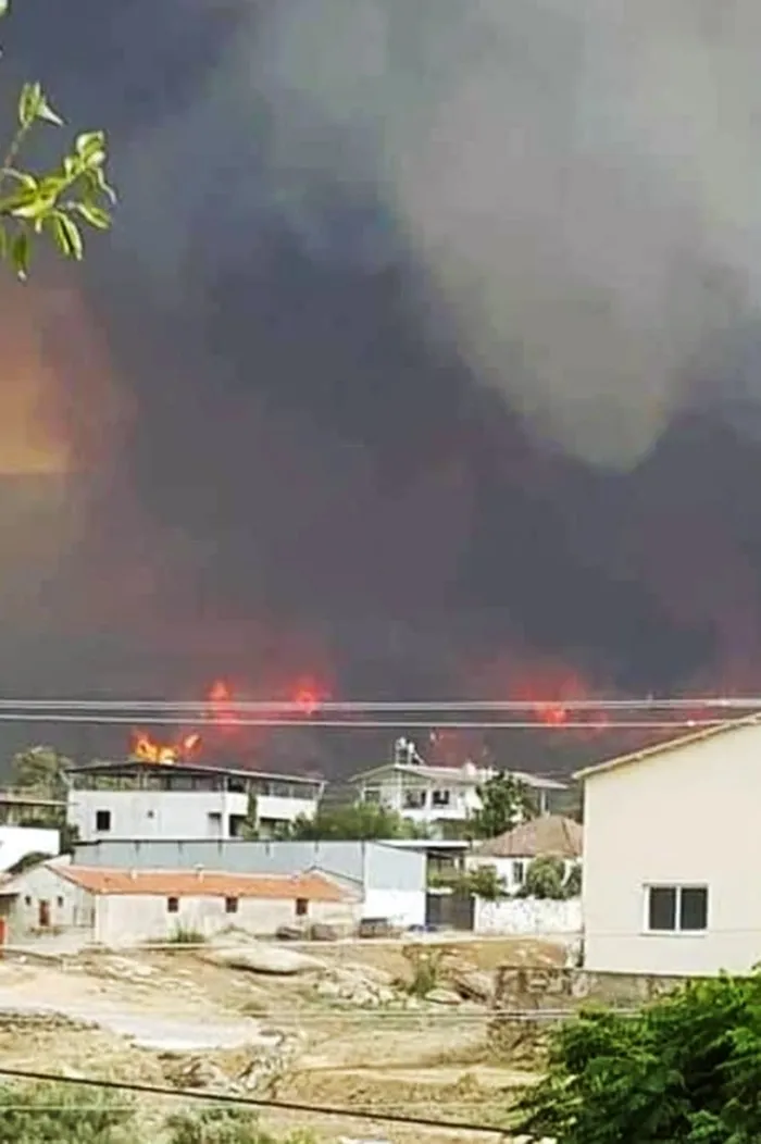 Son dakika: Aydın ve Karabük'te orman yangın - 3