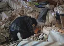Venezuela’yı vuran deprem felaketi! İşte kare kare büyük yıkım