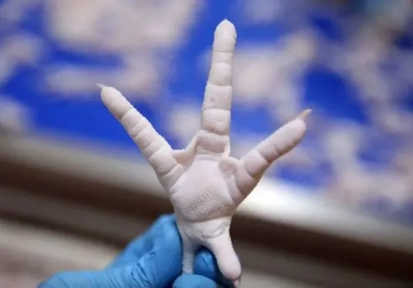 Uşak’tan dünyaya satıyor! Hedefleri 50 milyon