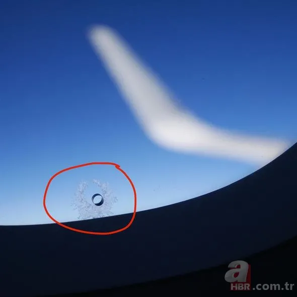 Ne işe yaradığını öğrenen şaşırıyor 3