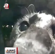 Evden kaçıp öyle bir şey yaptı ki...