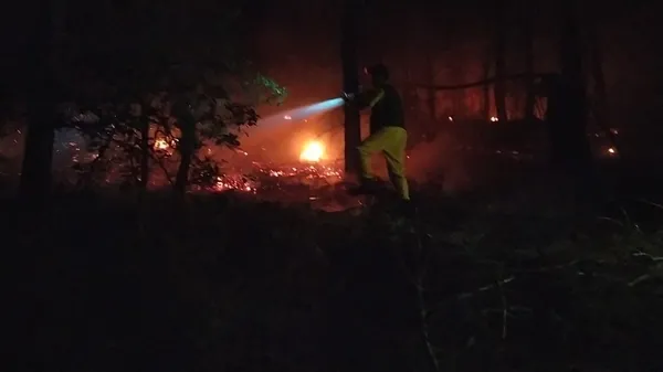 Son dakika: Adana’nın Kozan ilçesinde orman yangını - 8