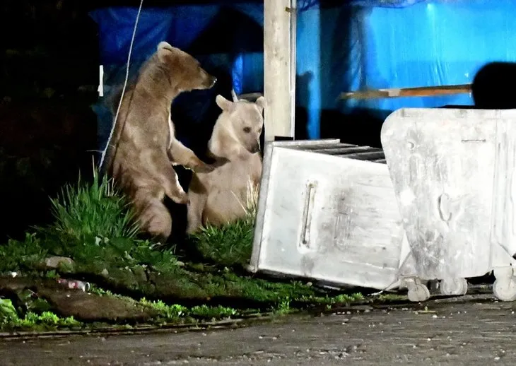 لقد هبطوا في وسط المدينة! تسلق جدران البيوت ...