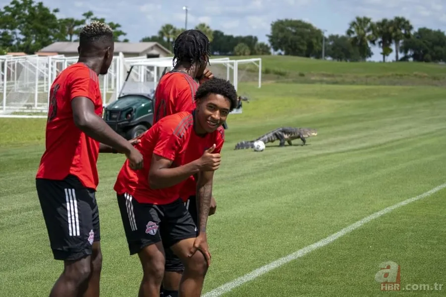 Sürücülerin kabusu oldu! Geceleri ortaya çıkıp yola fırlıyor 24