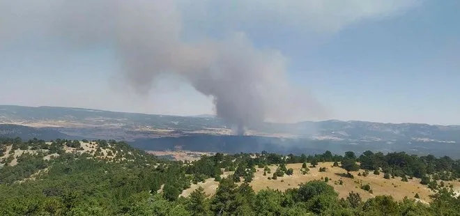 Bir orman yangını da Eskişehir’de! Çok sayıda ekip sevk edildi
