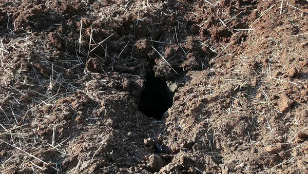 TSK’dan terör örgütü PKK’ya ağır darbe: Sözde 2 yönetici dahil 7 terörist öldürüldü