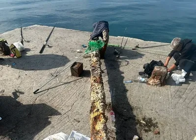 Balıkçıların ağına takıldı! 3 tonluk...