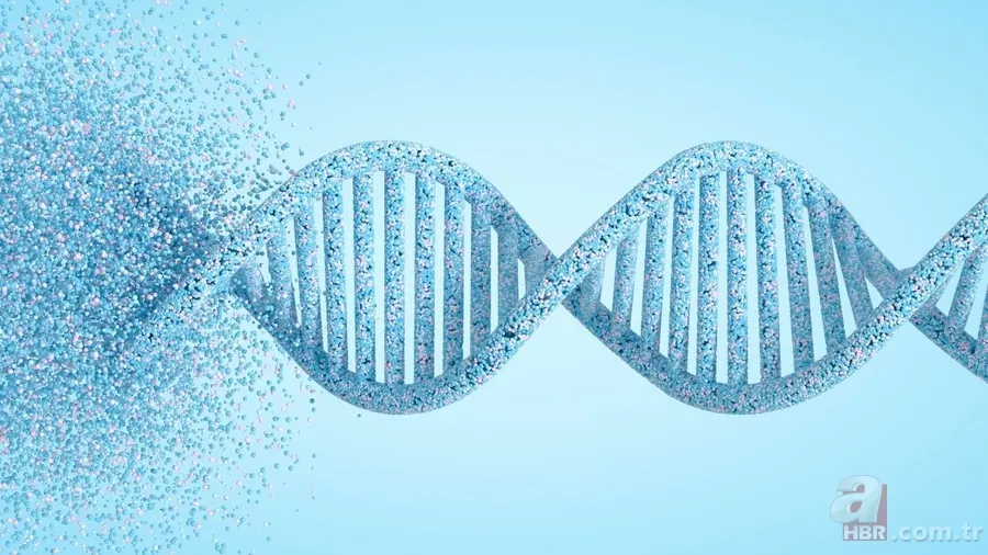 Ailede kanser öyküsü olanlar dikkat! Uzmanlar hastalık riskini azaltacak 5 tavsiyeyi paylaştı 7