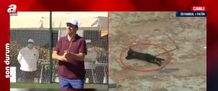 A Haber İBB’ye tenis kortu tepkisini gündeme getirdi! İBB Sözcüsü Murat Ongun’un açıklaması soru işaretlerini artırdı