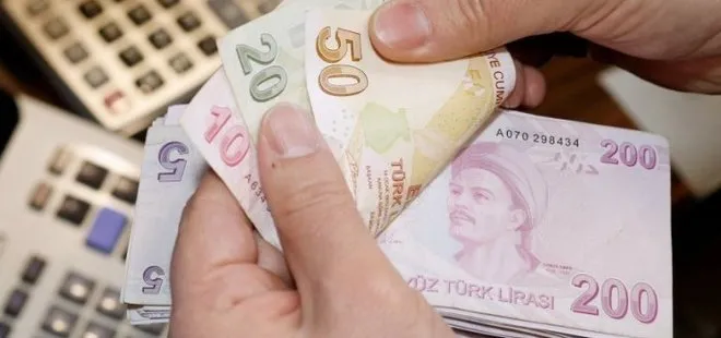 Türkiye Aile Destek Programı ödemeleri hesaplara yatıyor