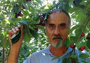Anı ölümsüzleştirmek isterken öldü!