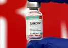 5 soruda TURKOVAC: Varyantlara karşı etkili mi?