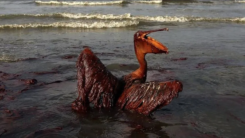 DAEŞ nasıl ortaya çıktı? - 1