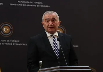 Romanya Dışişleri Bakanı'ndan Türk halkına destek