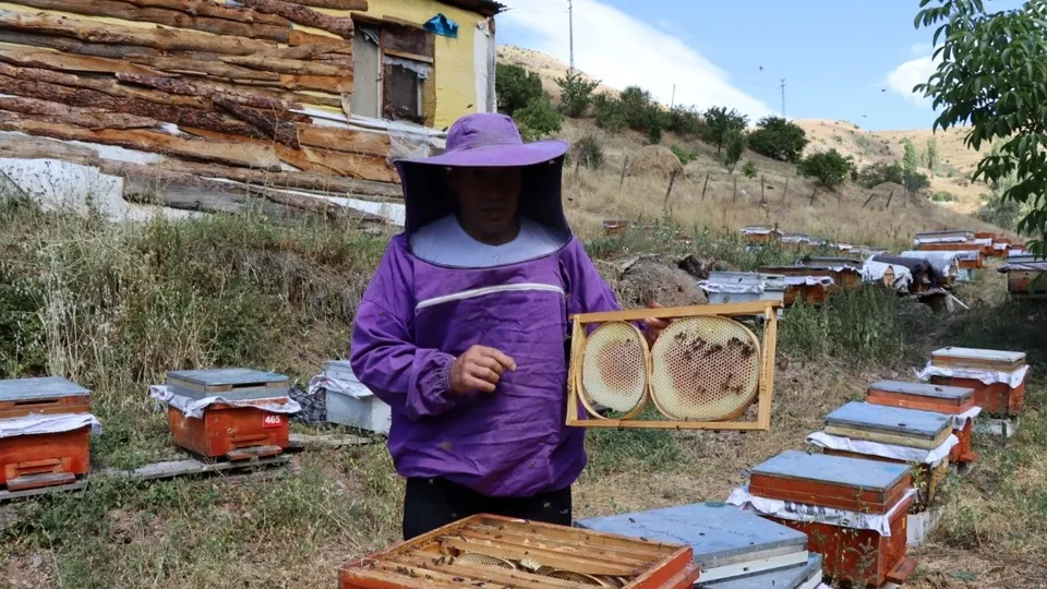 Arılara yazmayı öğretti! Görenler gözlerine inanamıyor | Hepsini mezun etti 🐝