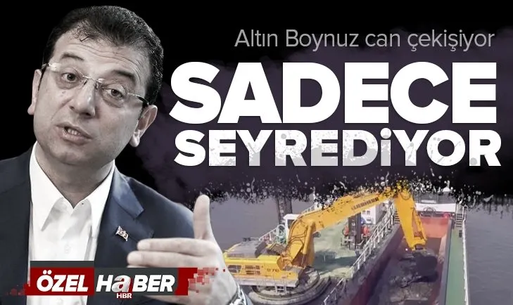 Haliç can çekişiyor! İBB sadece seyrediyor, balıklar suyun yüzüne çıktı
