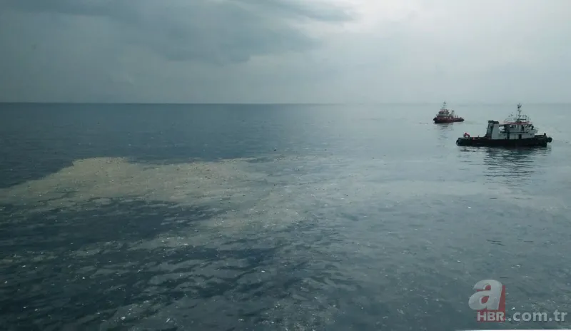 Endonezya'daki uçak faciasıyla ilgili kahreden ayrıntı 24