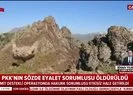 PKK’ya ağır darbe! Sözde Hakurk sorumlusu öldürüldü