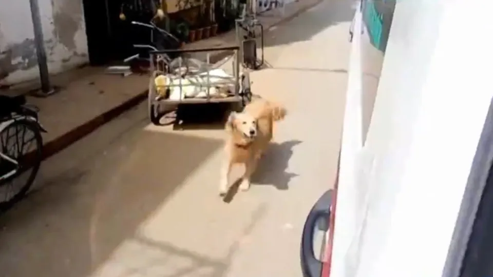 2021’in en çok izlenen videosu Türkiye’den