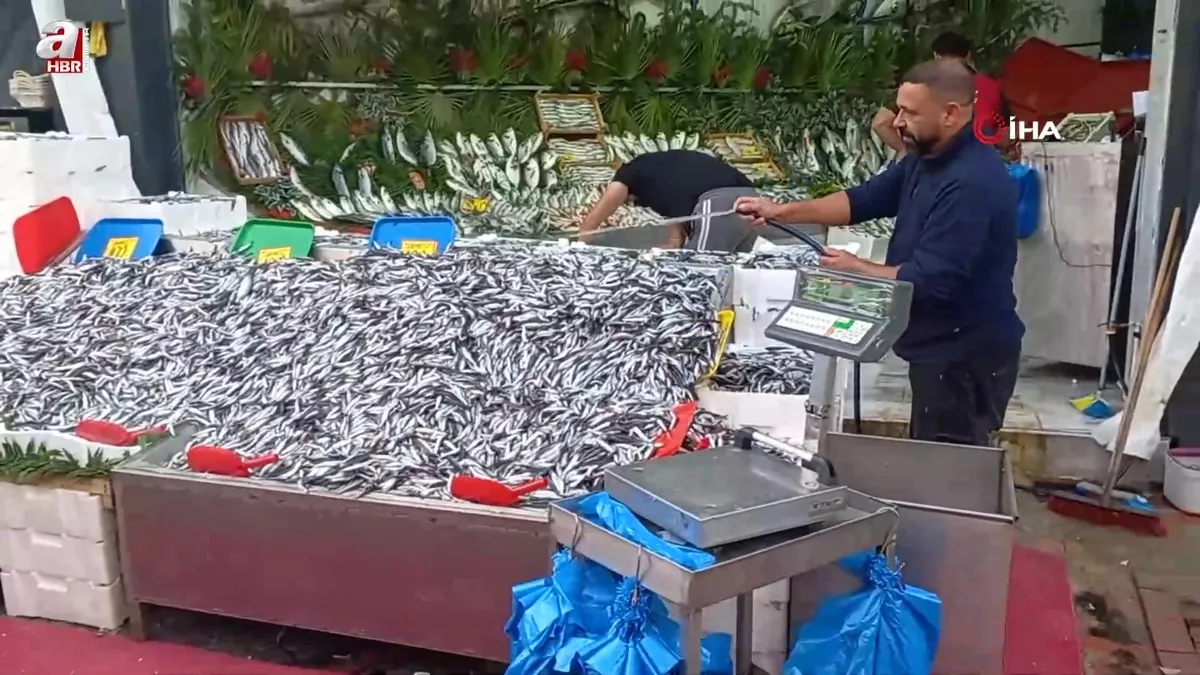 Havalar soğudu, hamsi 100 liraya düştü